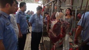 沅江市商务综合执法大队开展牲畜定点屠宰专项检查 筑牢食品安全防线