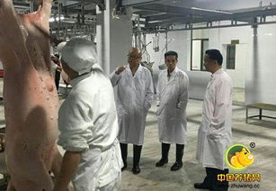 冷水江实行生猪机械化屠宰，让老百姓吃上放心肉