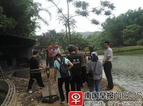 广西武鸣 甘圩分别捣毁病死猪屠宰窝点 曾私宰病猪,猪肉销往周边市场