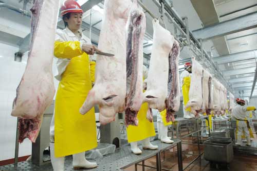 我市又添一家生猪定点屠宰厂(图)_新闻中心_新浪网