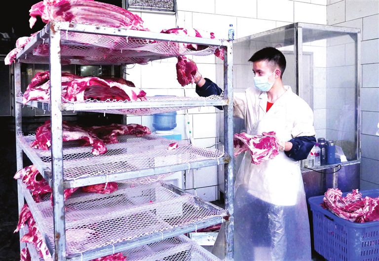 猪肉送检